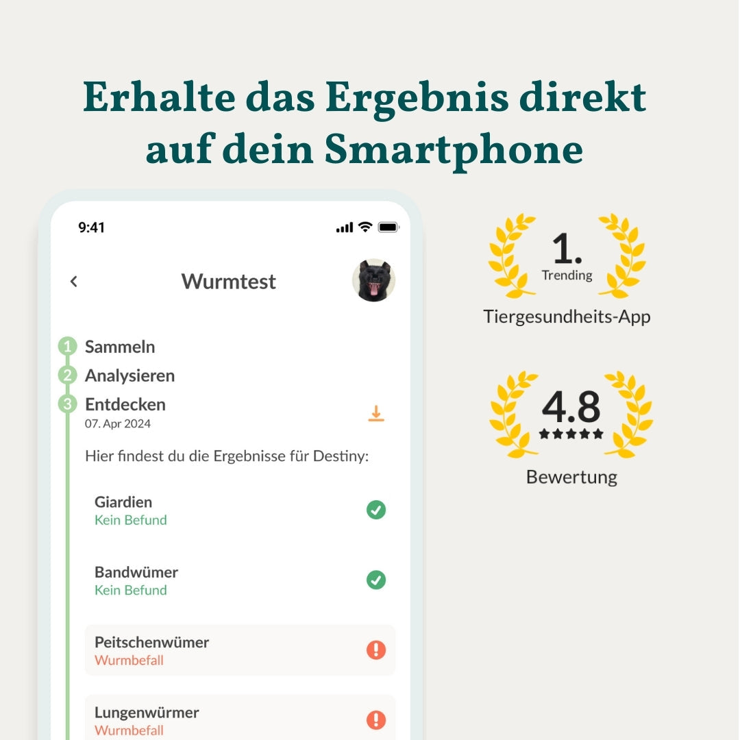 Wurmtest Basic Katze