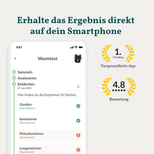 Wurmtest Basic Katze