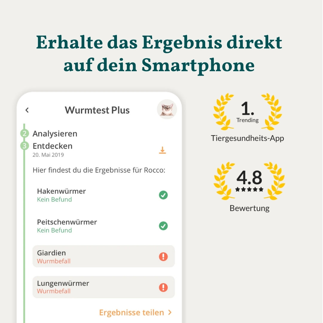 Wurmtest Basic Katze Sparpaket