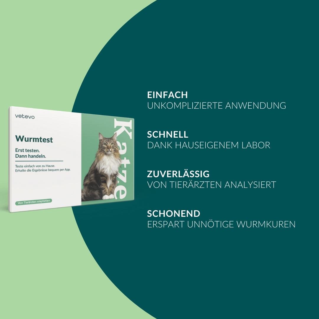 Wurmtest Basic Katze