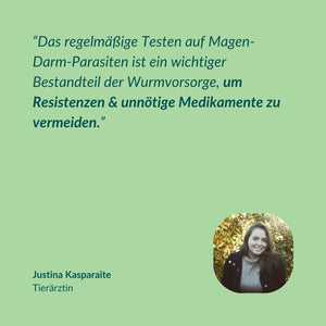 Wurmtest Basic Katze