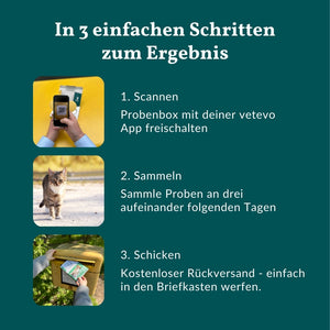 Wurmtest Basic Katze Sparpaket