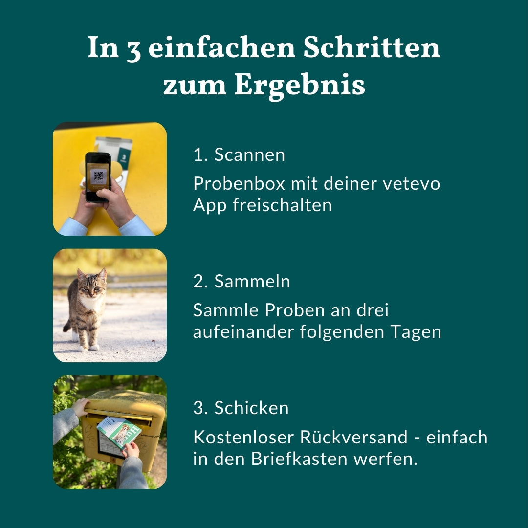 Wurmtest Plus Katze Sparpaket