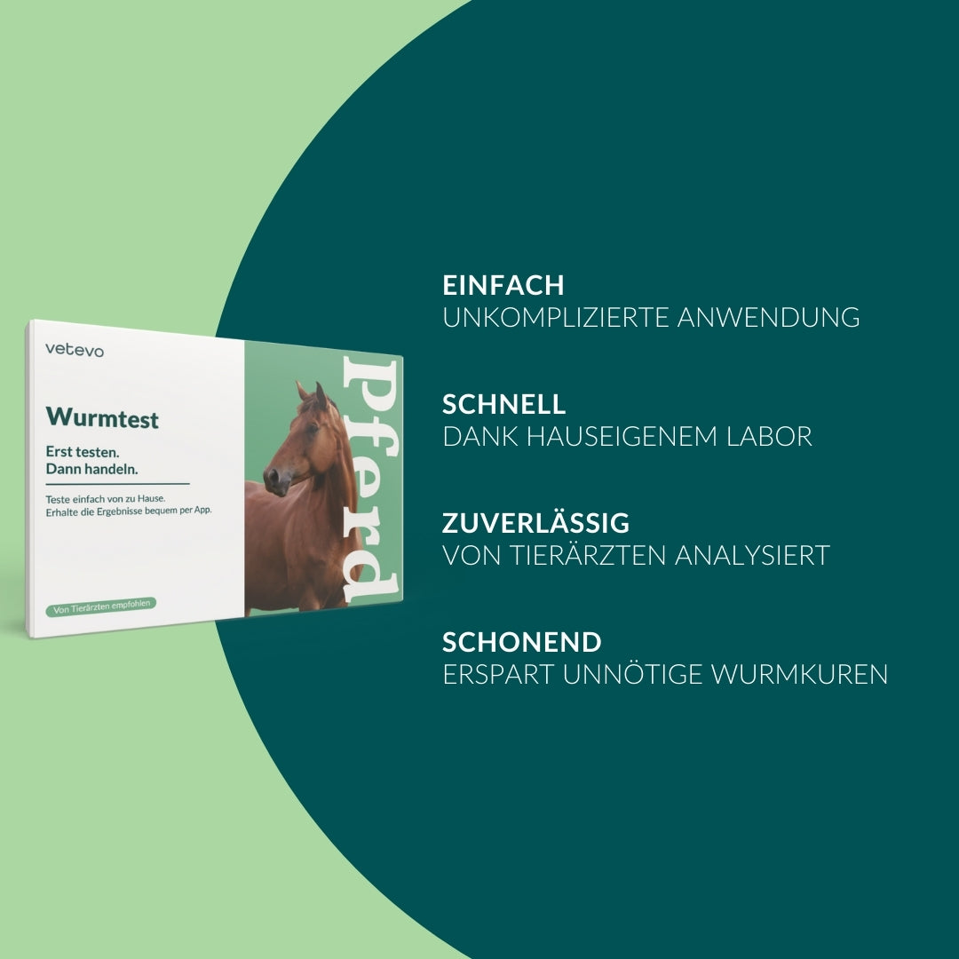 Wurmtest Basic Pferd
