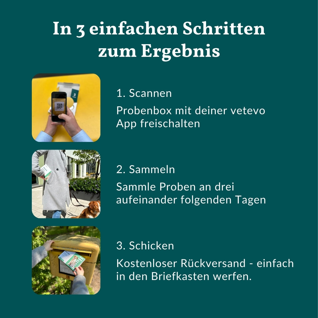 Wurmtest Basic Pferd