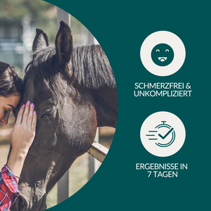 Allergietest Basic Pferd