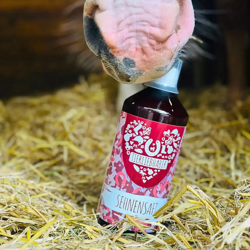 Tierliebhaber Sehnen Saft Pferd