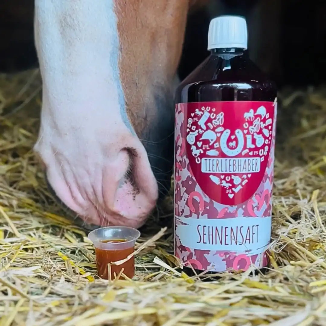 Tierliebhaber Sehnen Saft Pferd