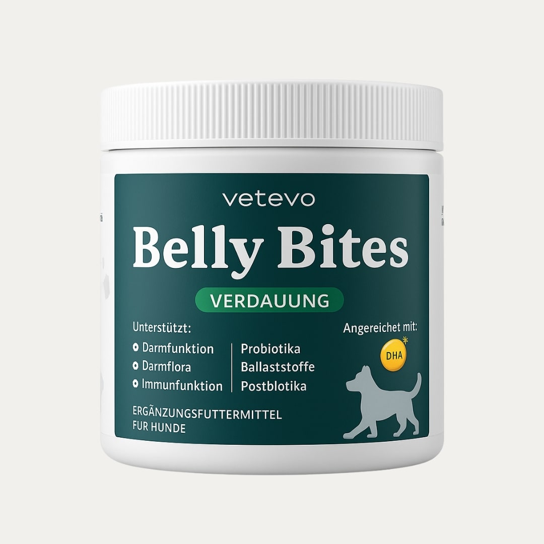 Belly Bites 2.0