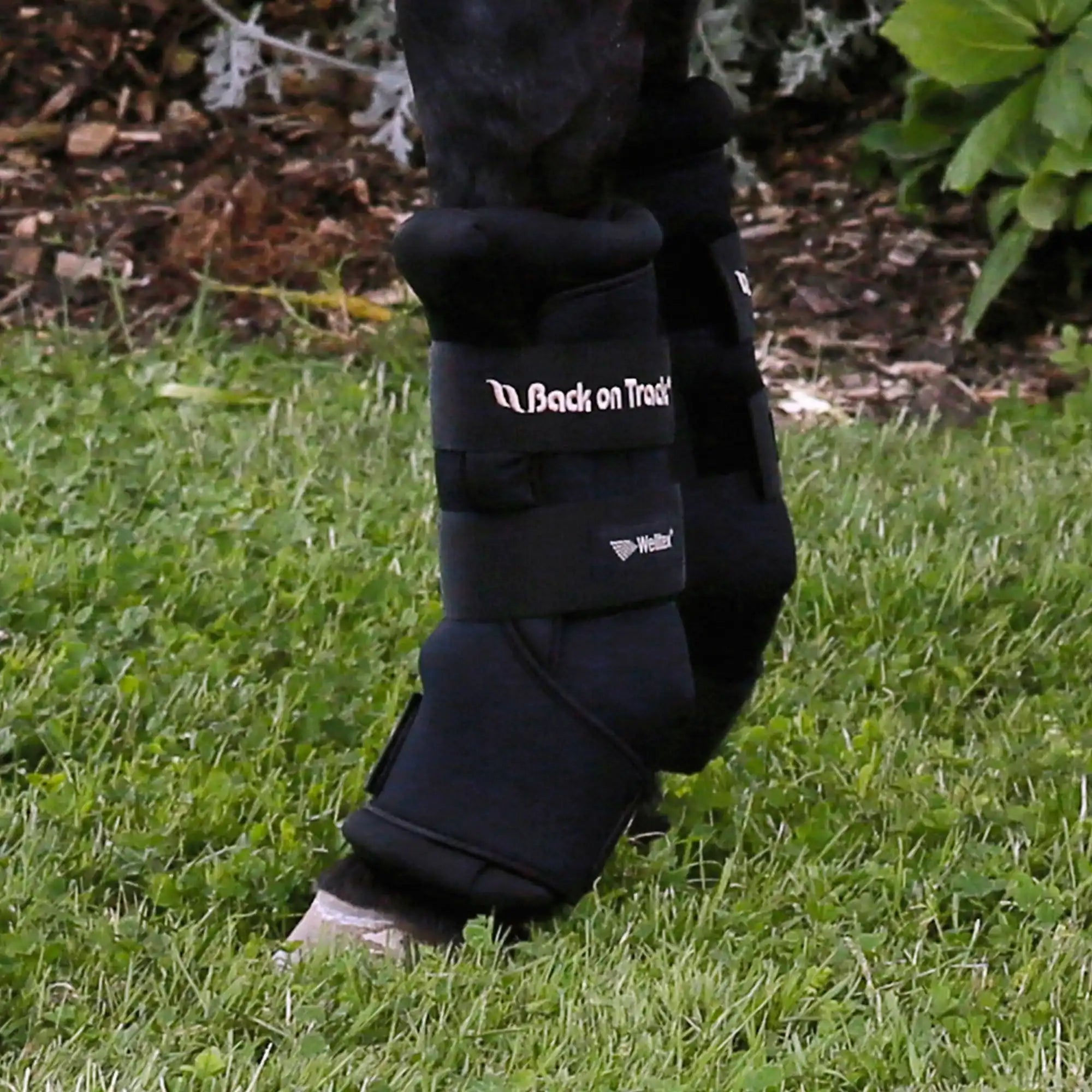 Neopren Außenhülle für Stallgamasche Royal