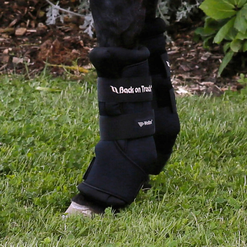 Neopren Außenhülle für Stallgamasche Royal