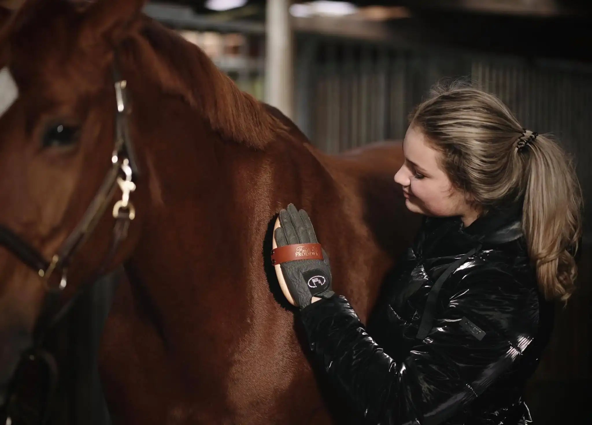 Fritz&Frodewin Rosshaar Kardätsche 