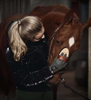 Fritz&Frodewin Rosshaar Kardätsche 