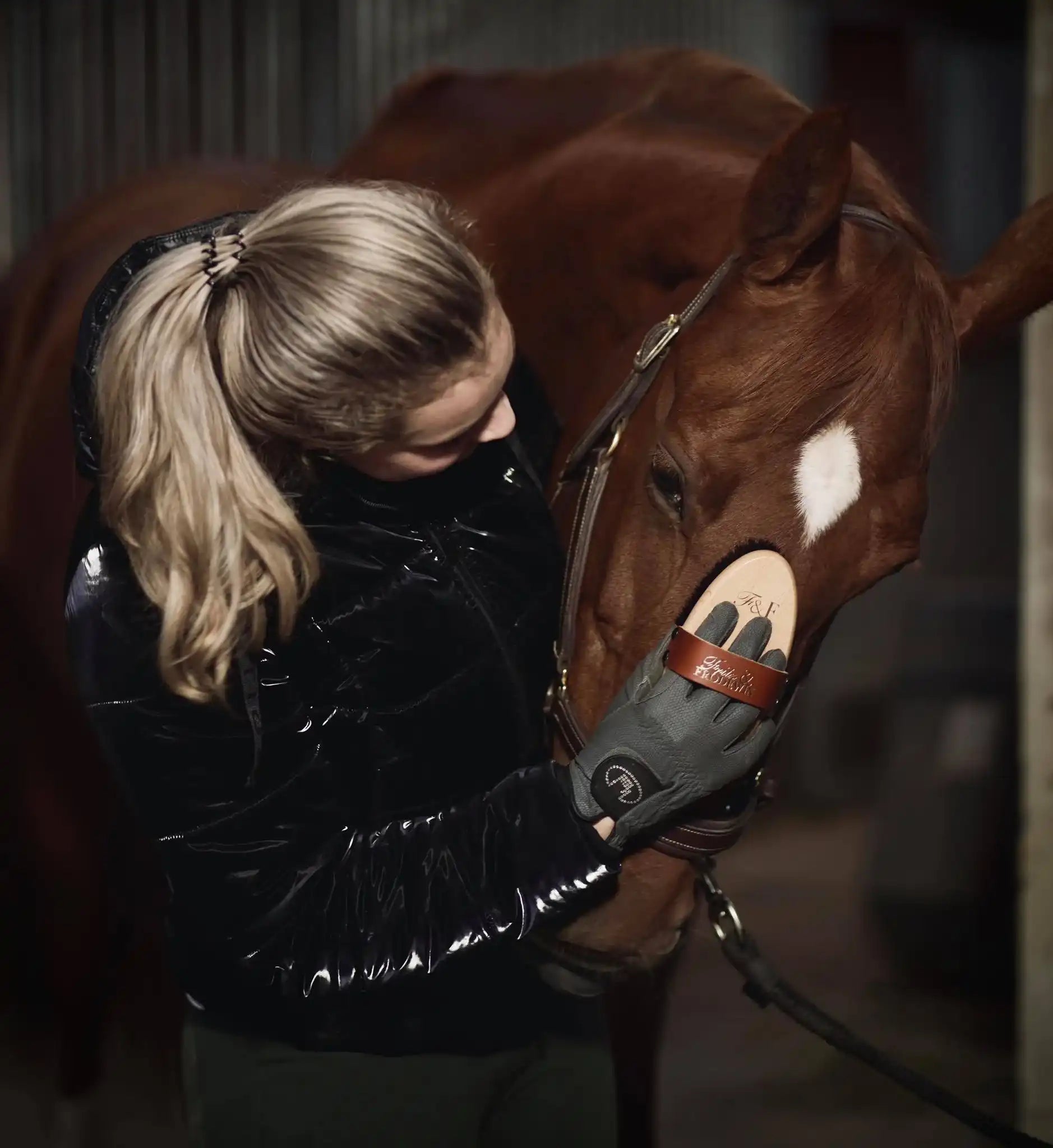 Fritz&Frodewin Rosshaar Kardätsche 