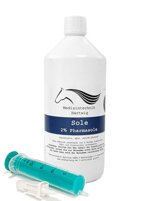 Equosonic Klinik Starter Paket mit zusätzlicher Powerbank für den Betrieb ohne Stromanschluss