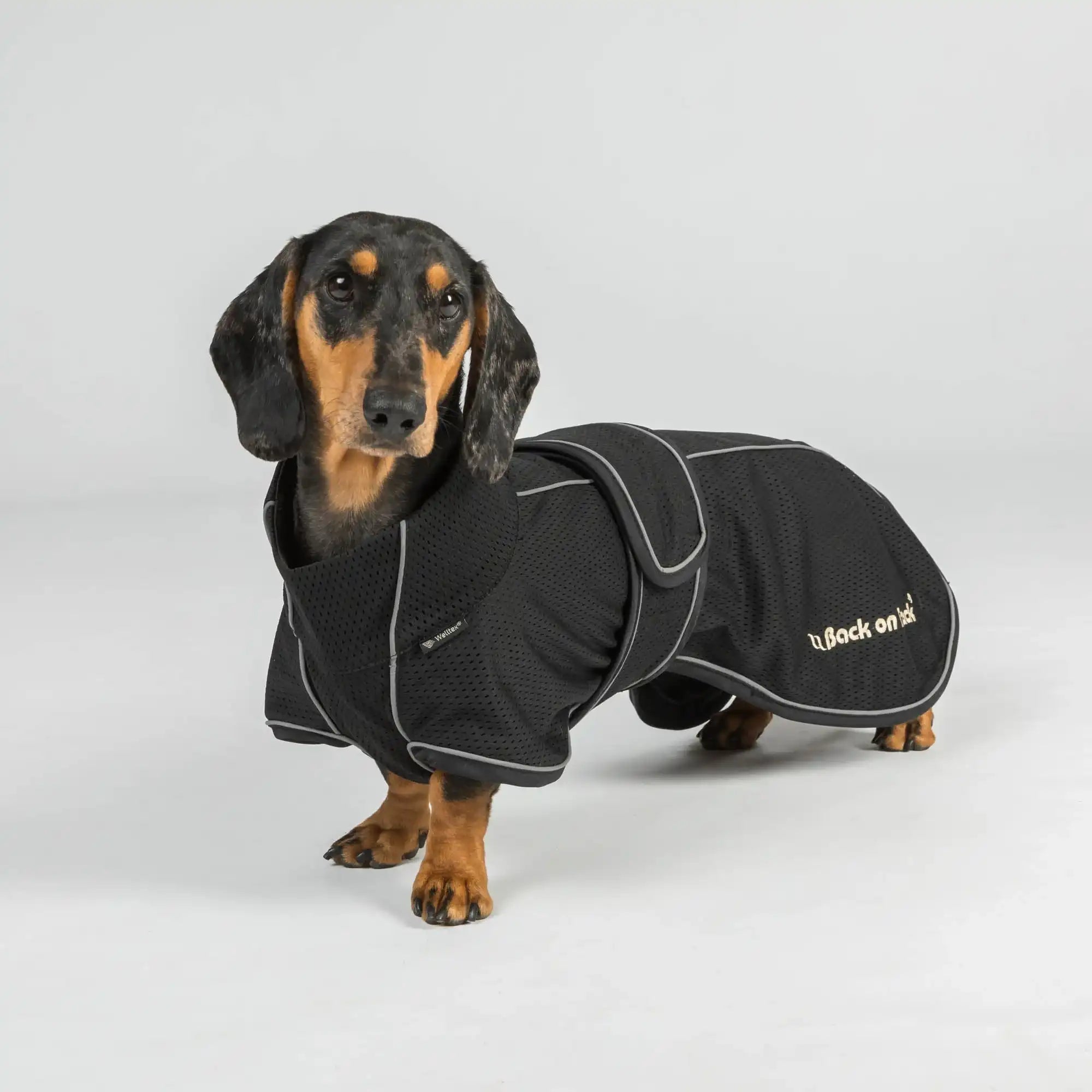 Back on Track BUDDY 2.0 Netz-Hundemantel