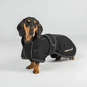 Back on Track BUDDY 2.0 Netz-Hundemantel