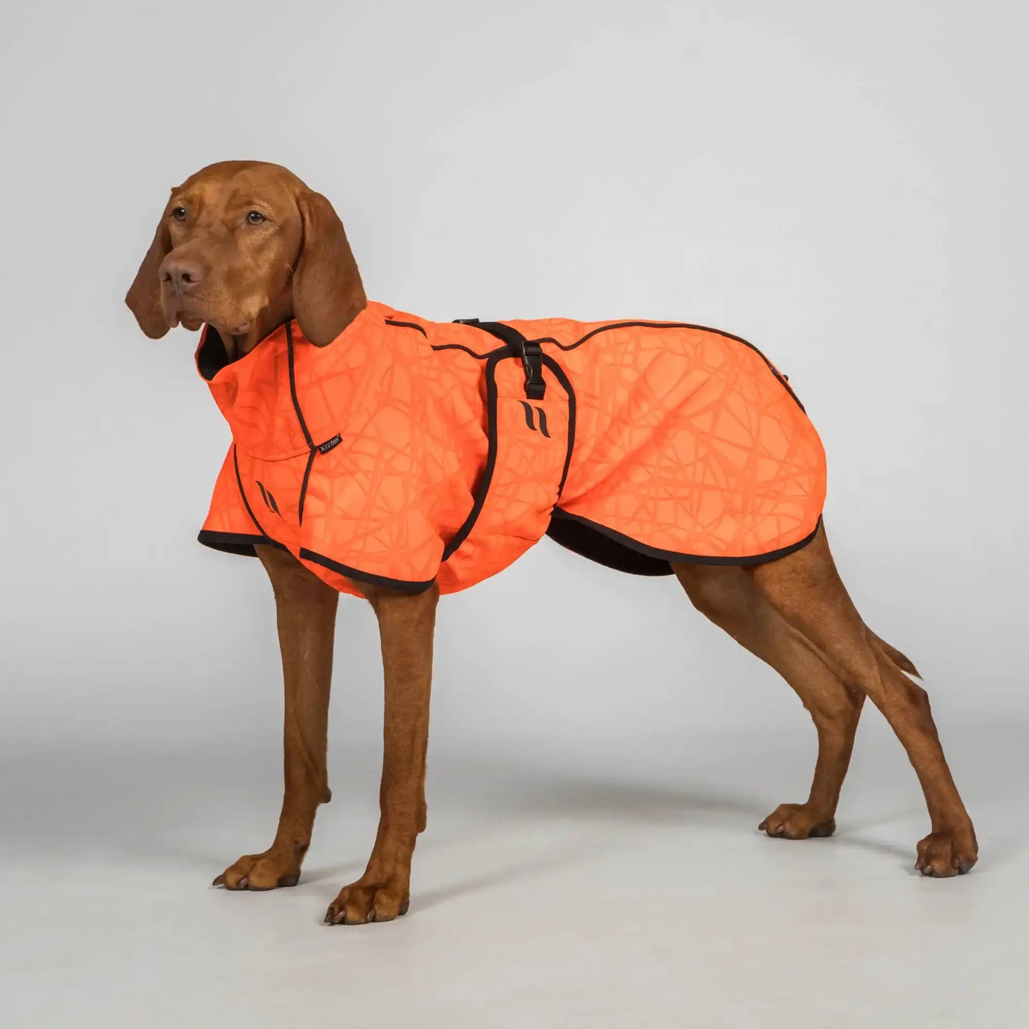 Back on Track Bark Allround Hundemantel - Orange