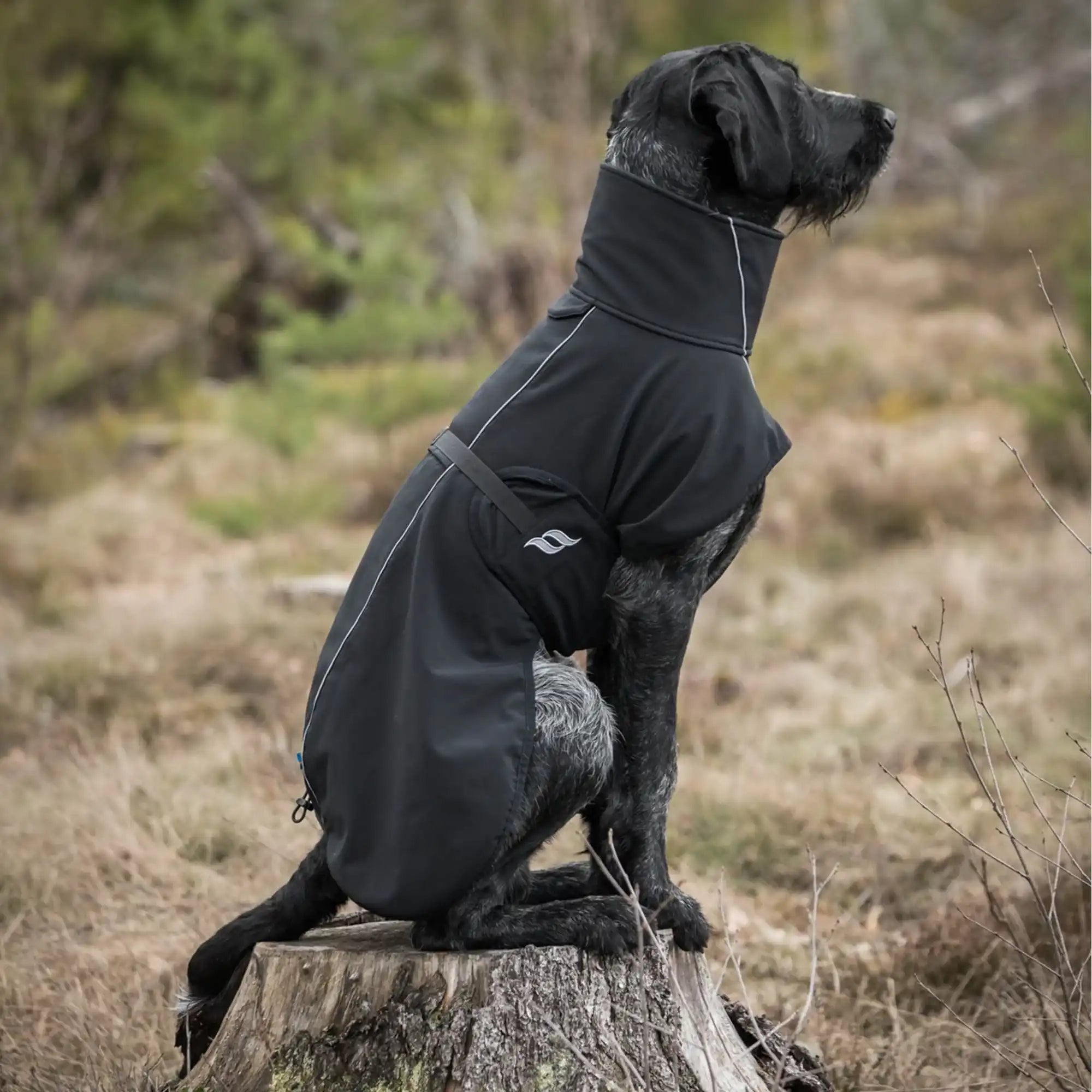 Back on Track Bark Allround Hundemantel - Schwarz