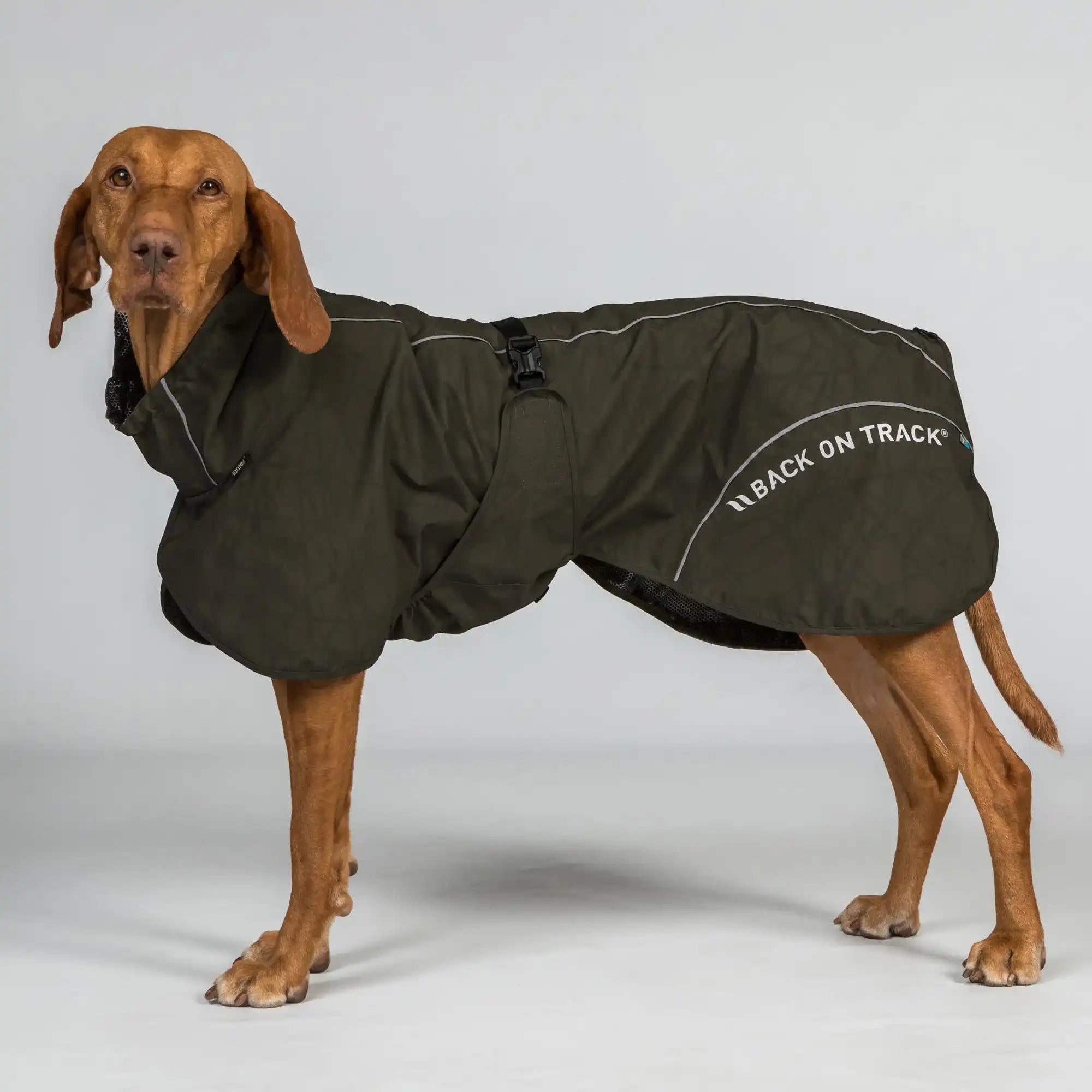 Back on Track BAY Hunde-Regenmantel, Hoher Rutenansatz