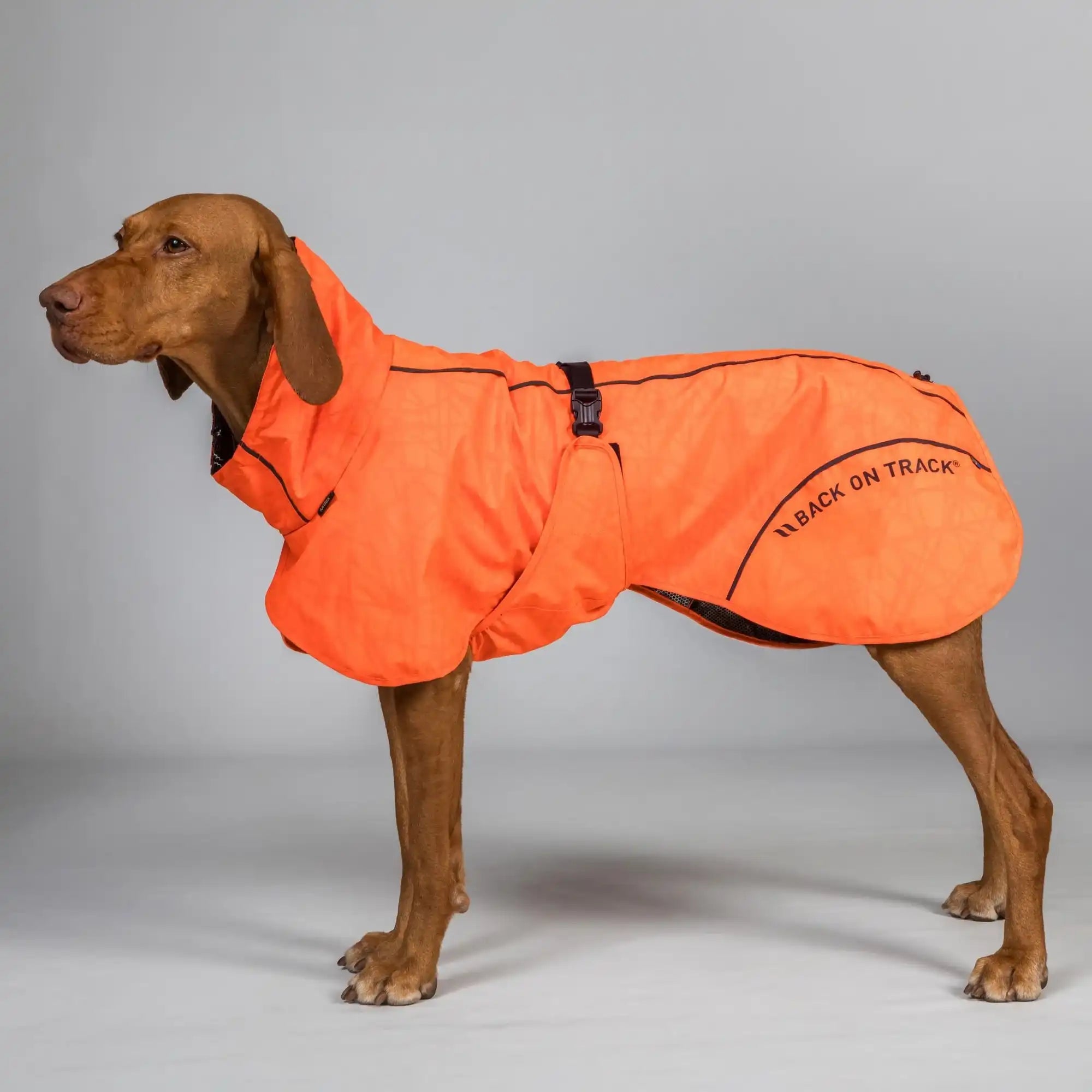 Back on Track BAY Hunde-Regenmantel, Hoher Rutenansatz
