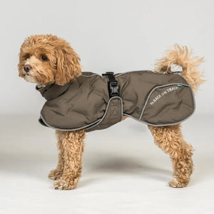 Back on Track BAY Winter-Hundemantel, Hoher Rutenansatz