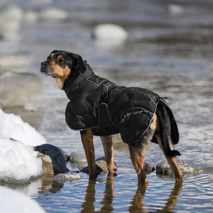 Back on Track BAY Winter-Hundemantel, Hoher Rutenansatz