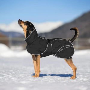 Back on Track BAY Winter-Hundemantel, Hoher Rutenansatz