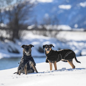 Back on Track BAY Winter-Hundemantel, Hoher Rutenansatz
