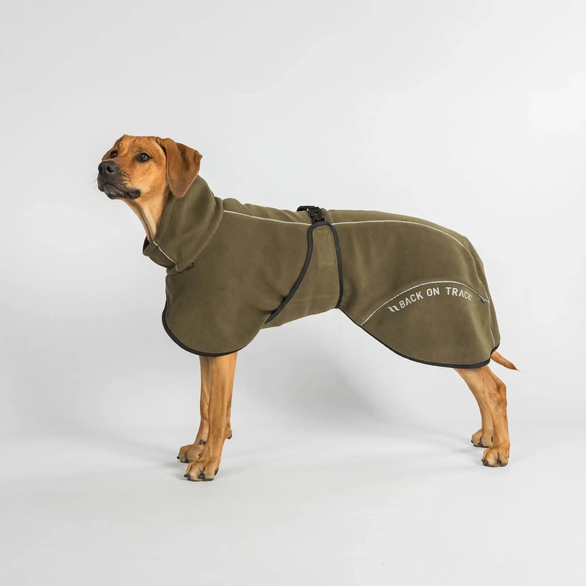 Back on Track BAY Fleece-Hundemantel, Niedriger Rutenansatz