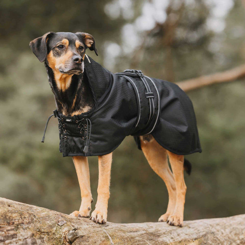 Back on Track Allwetter-Hundemantel, ungefüttert