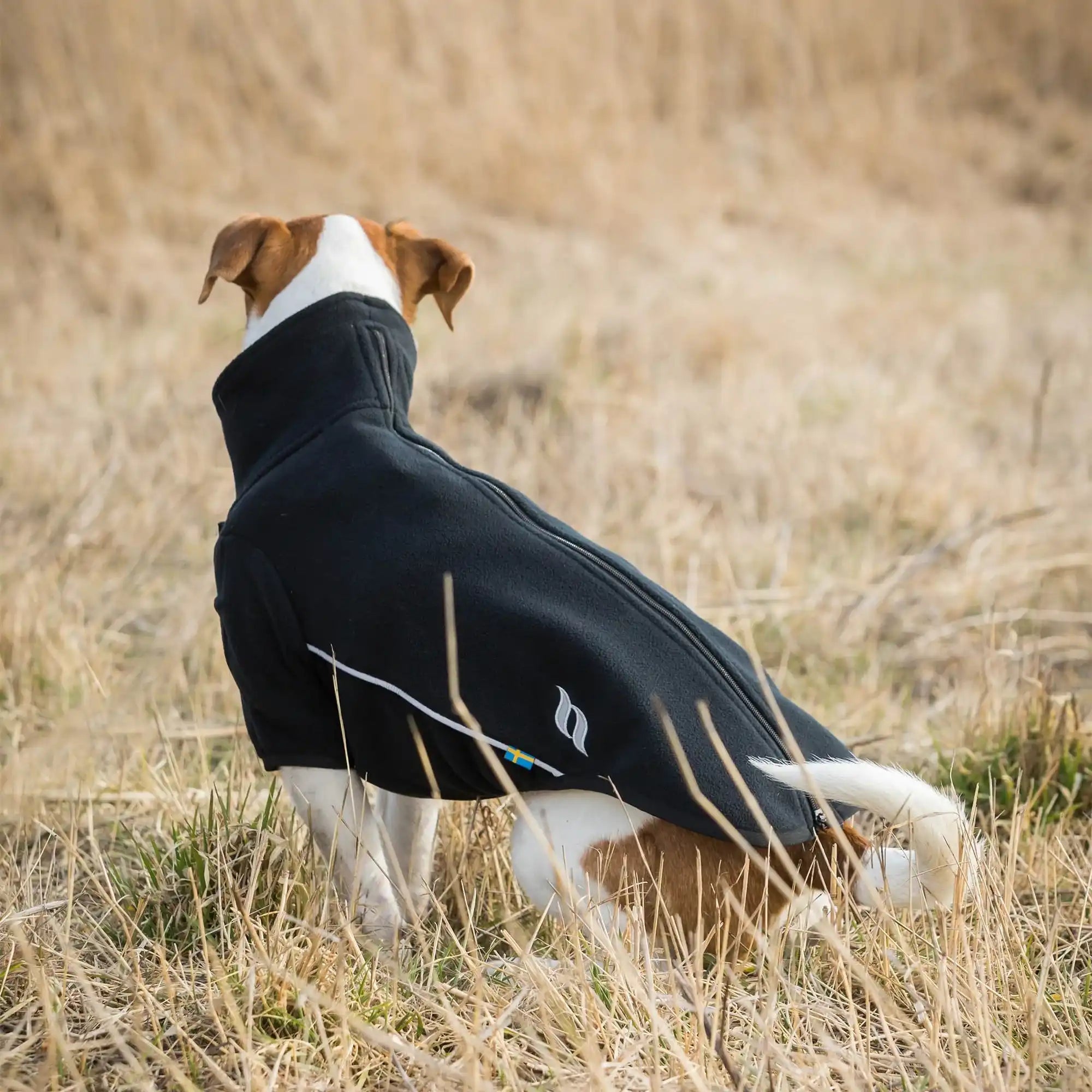 Back on Track Cassie Allwetter Hundepullover
