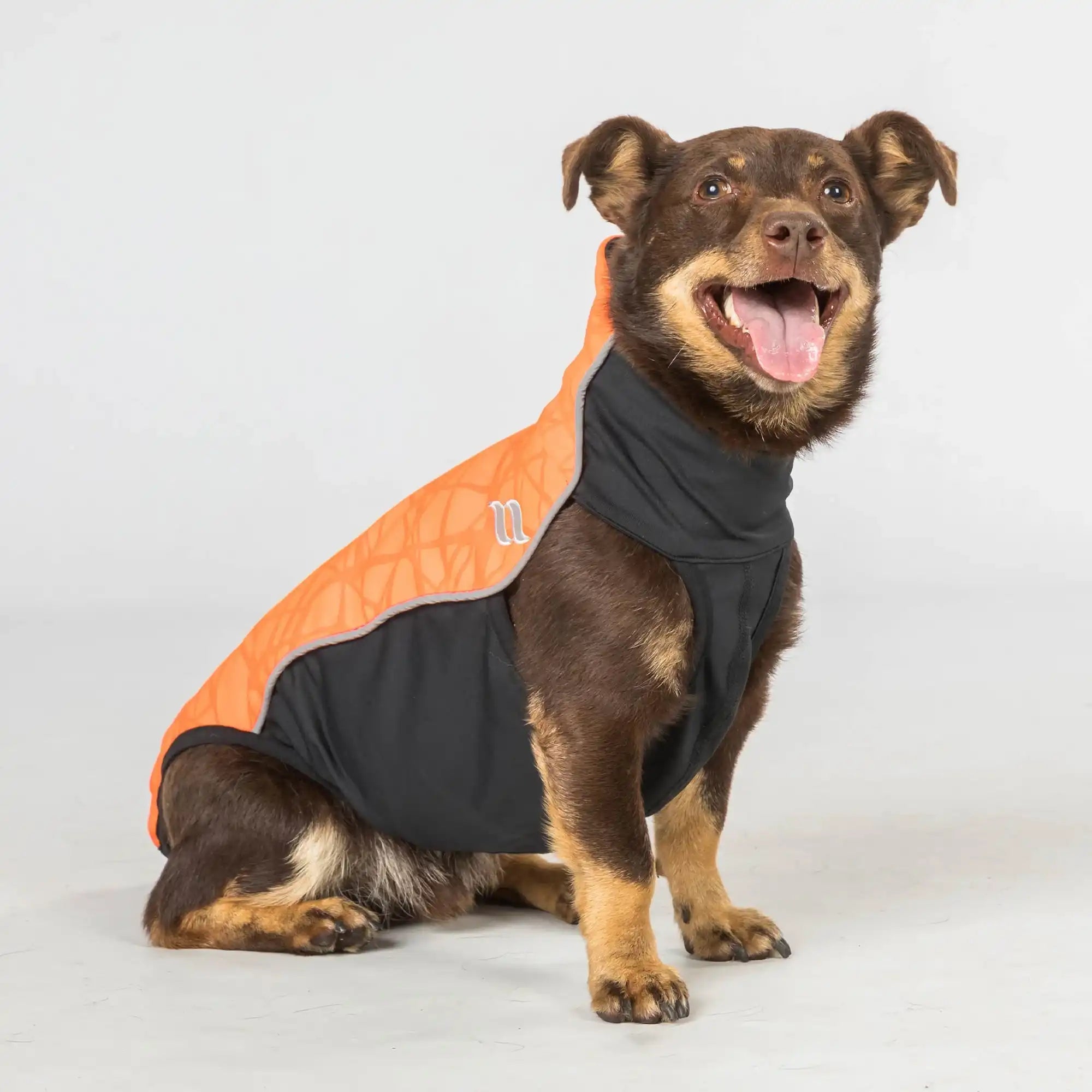 Back on Track Eddie Petite Hundepullover reflektierend