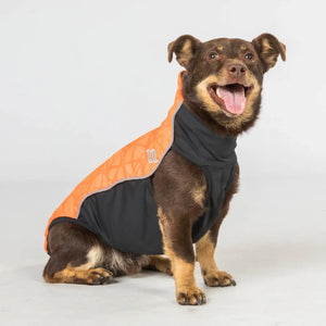 Back on Track Eddie Petite Hundepullover reflektierend