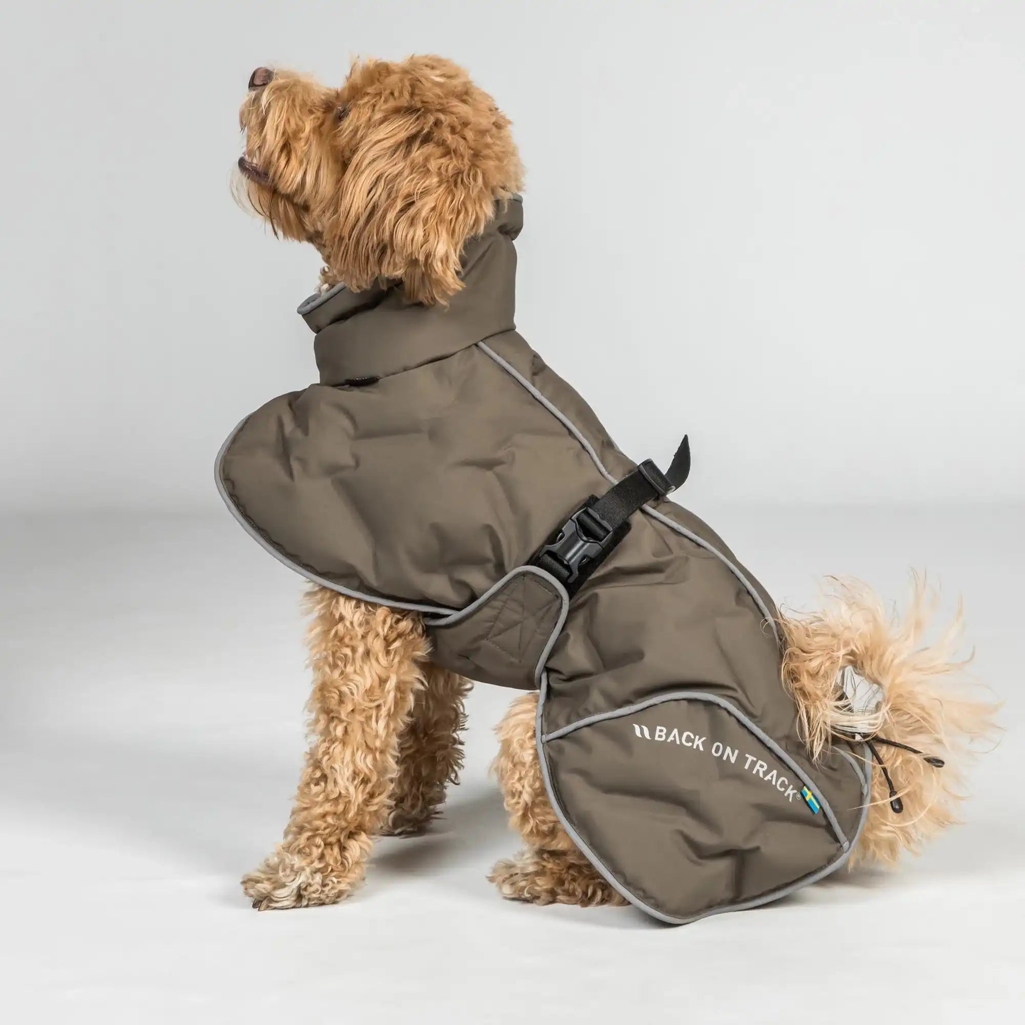 Back on Track BAY Winter-Hundemantel, Hoher Rutenansatz