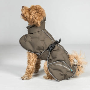 Back on Track BAY Winter-Hundemantel, Hoher Rutenansatz