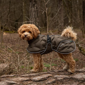 Back on Track BAY Winter-Hundemantel, Hoher Rutenansatz