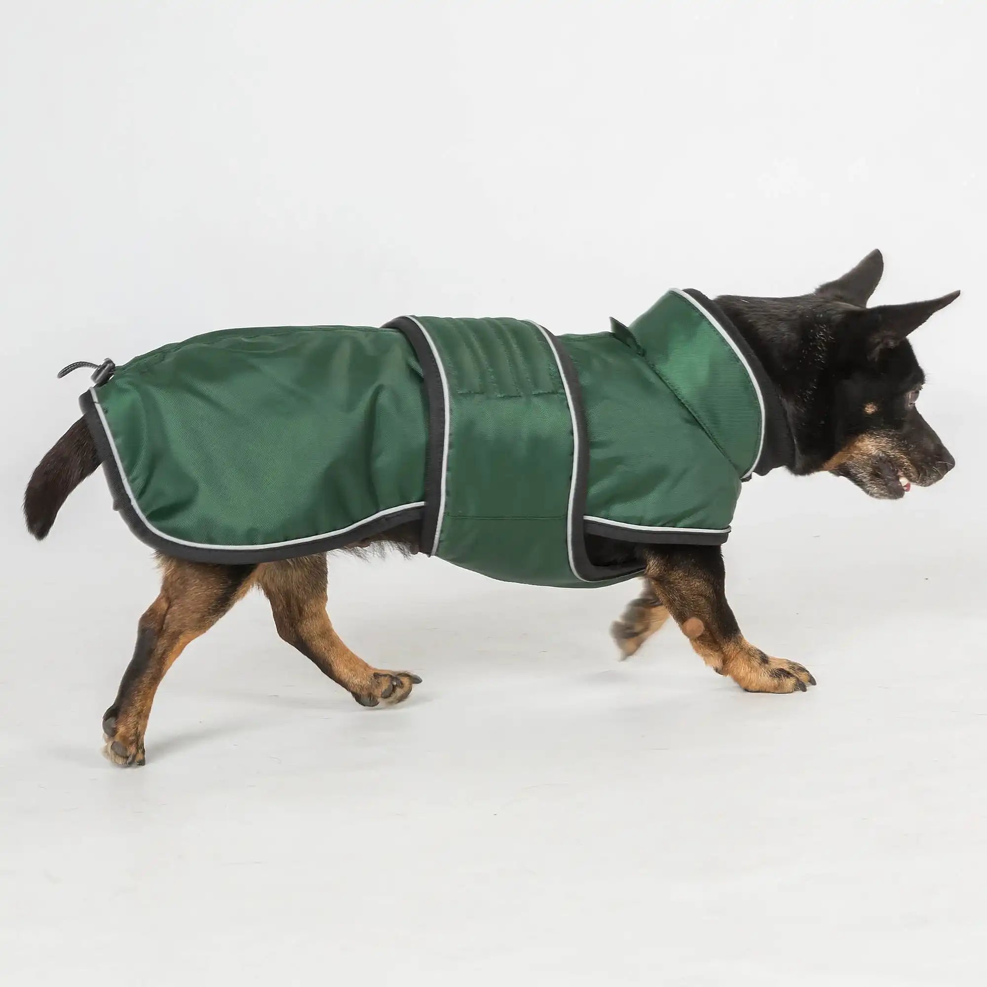 Back on Track Buddy Hundemantel lang