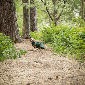 Back on Track Buddy Hundemantel lang