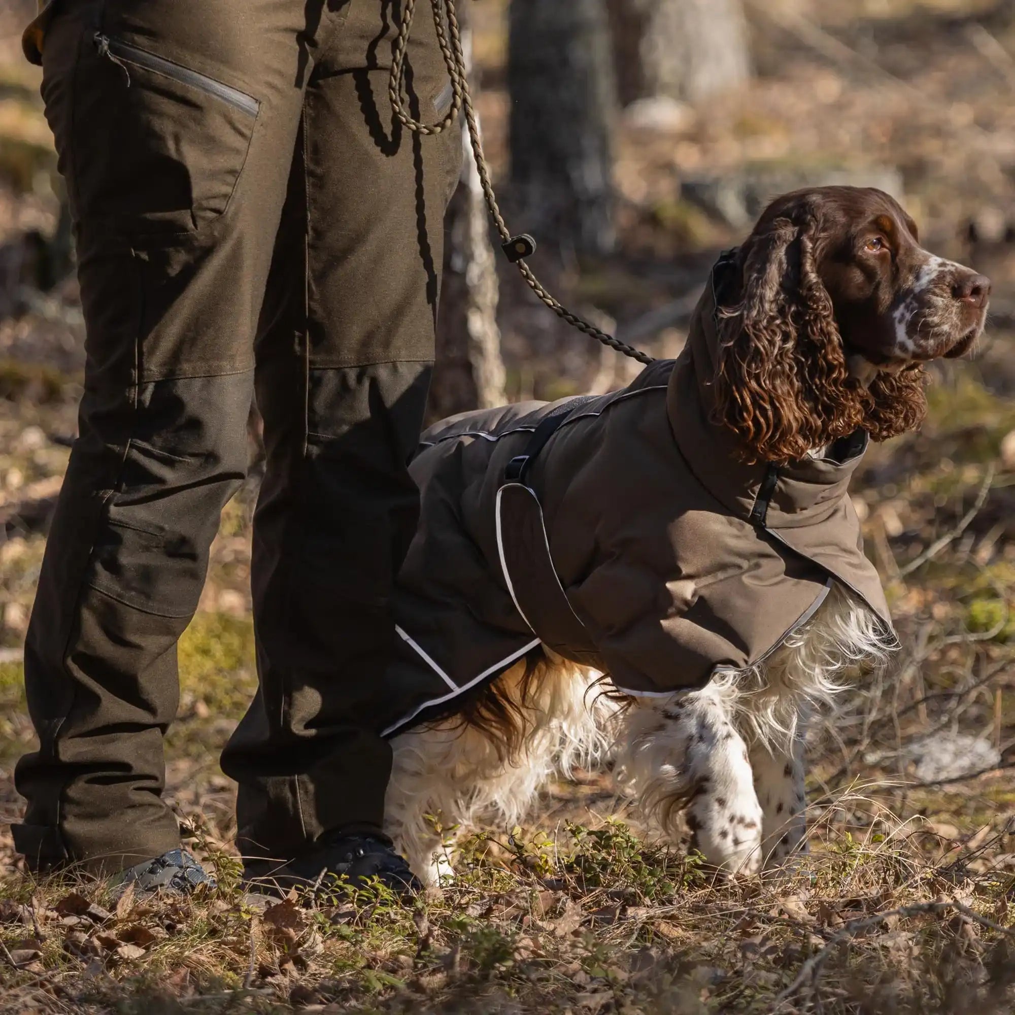 Back on Track BAY Winter-Hundemantel, Niedriger Rutenansatz