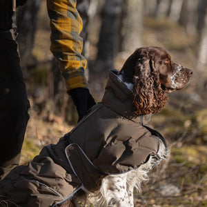 Back on Track BAY Winter-Hundemantel, Niedriger Rutenansatz