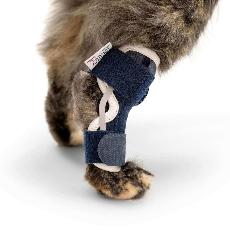 Katzen Sprunggelenkorthese