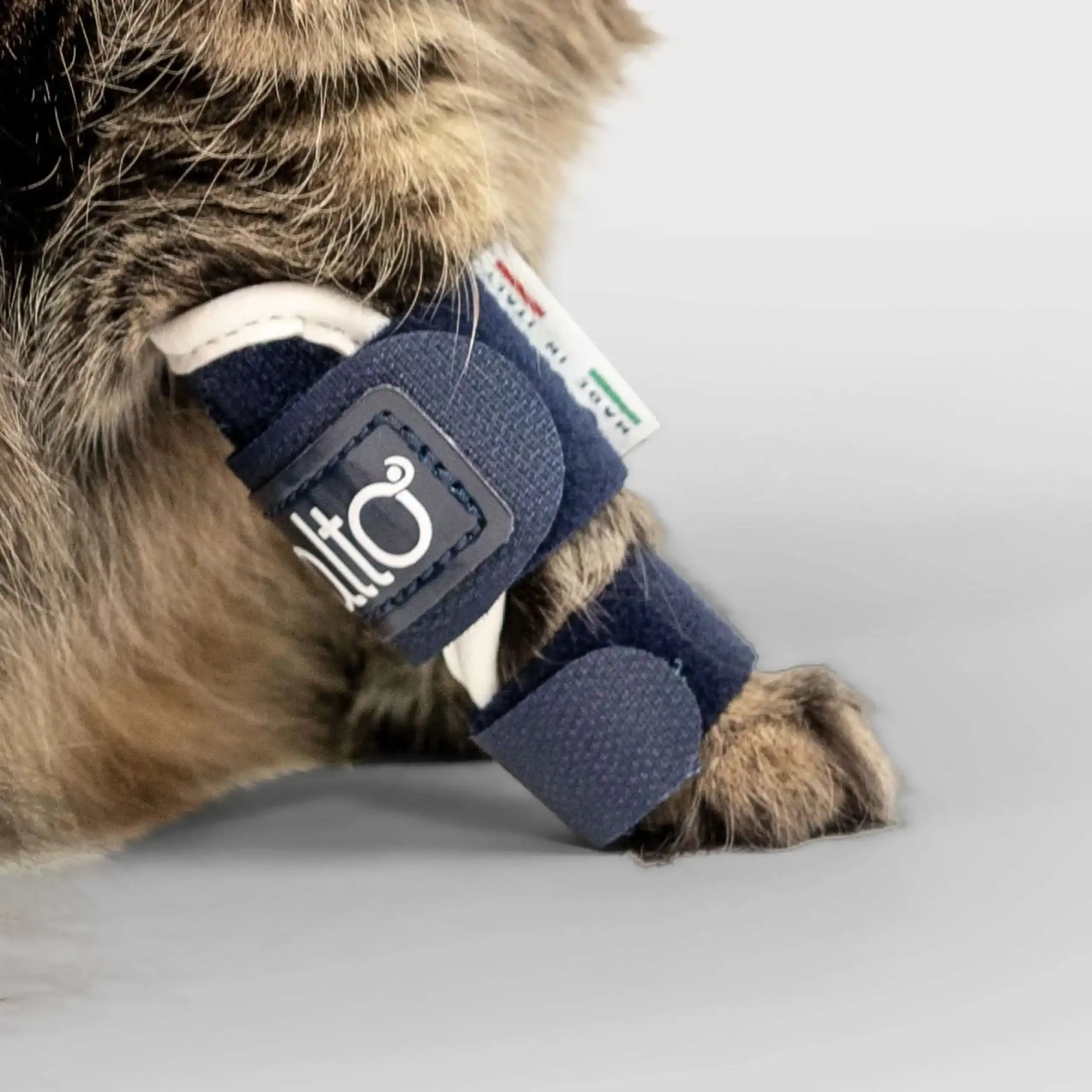 Katzen Orthese gegen Handwurzellaxität