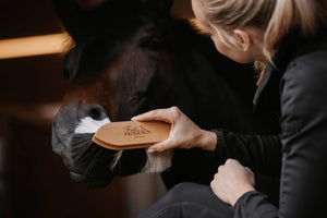 Fritz&Frodewin Fellglanzbürste 