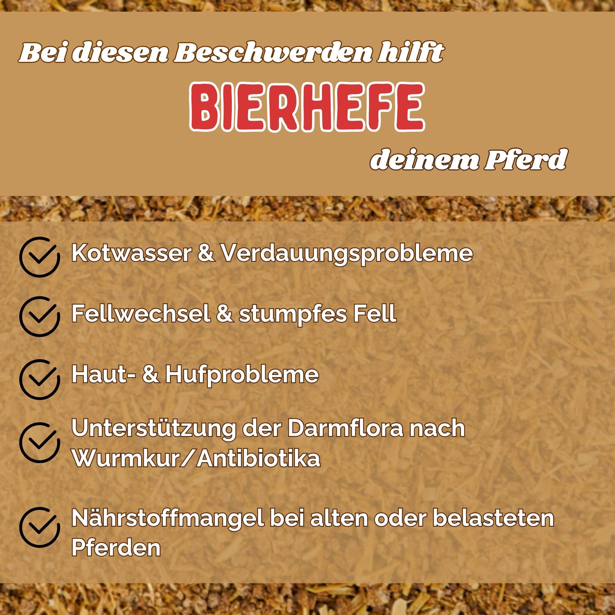 BT Bierhefe Pferd – bei Kotwasser, Fellwechsel & Aufbau der Darmflora