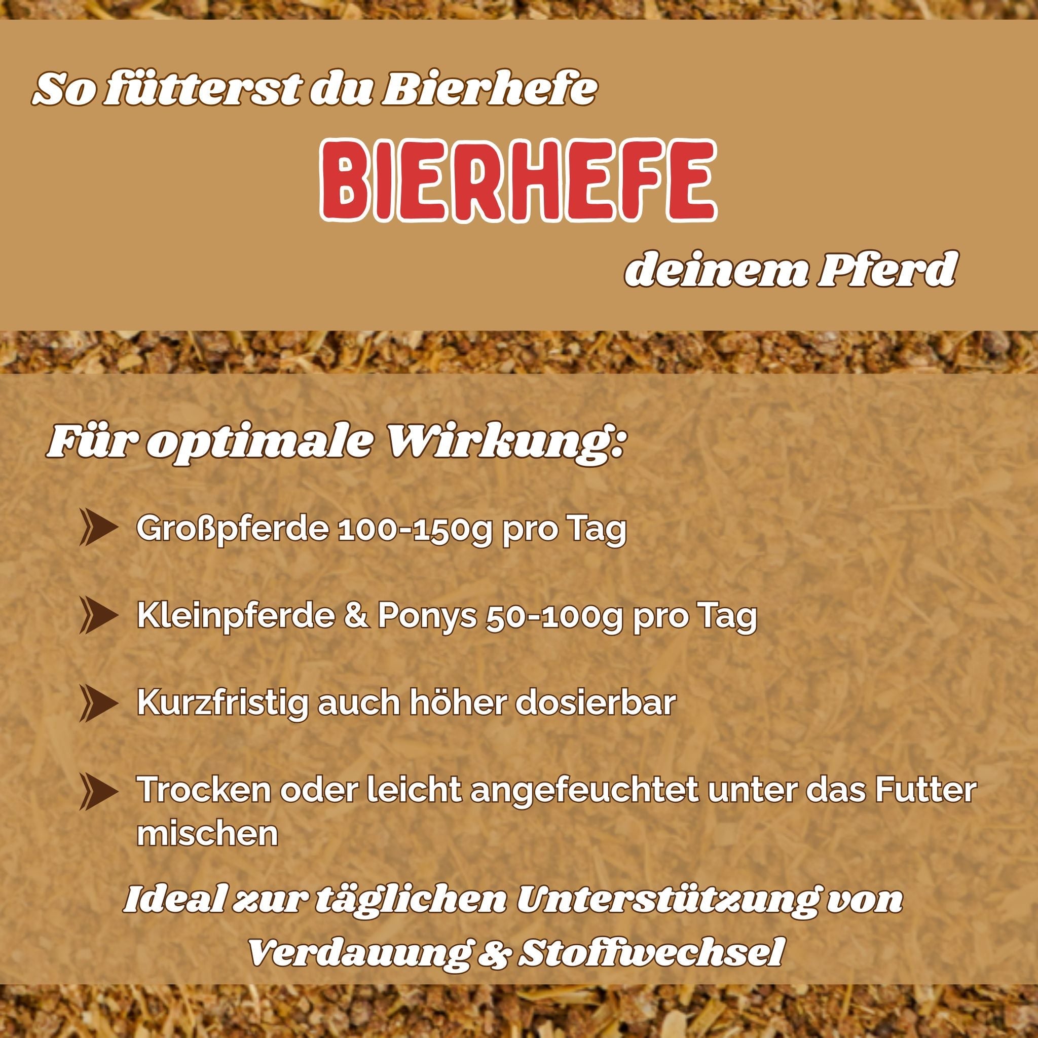 BT Bierhefe Pferd – bei Kotwasser, Fellwechsel & Aufbau der Darmflora