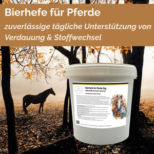 BT Bierhefe Pferd – bei Kotwasser, Fellwechsel & Aufbau der Darmflora