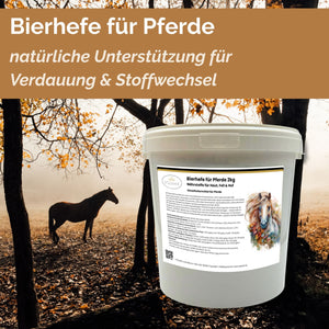 BT Bierhefe Pferd 2kg – bei Kotwasser, Fellwechsel & empfindlicher Verdauung