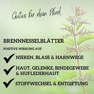 Brennnessel für Pferde für Niere, Stoffwechsel, Gelenke & Haut