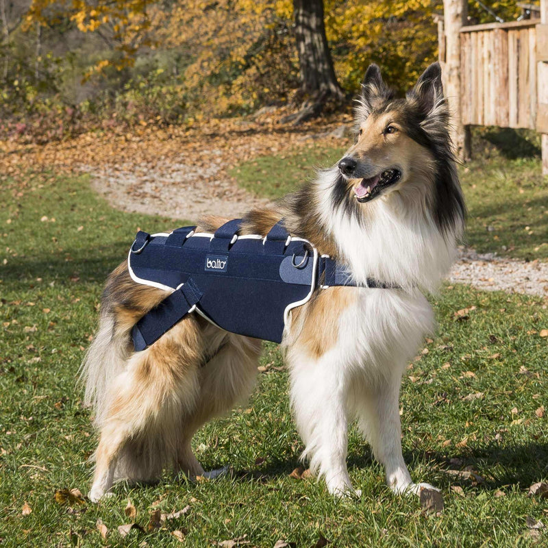 Hunde Korsett mit griff
